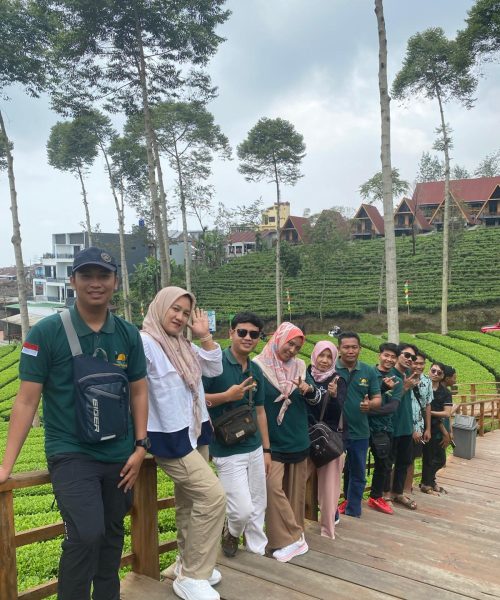 WhatsApp Image 2026-01-01 at 09.03.03